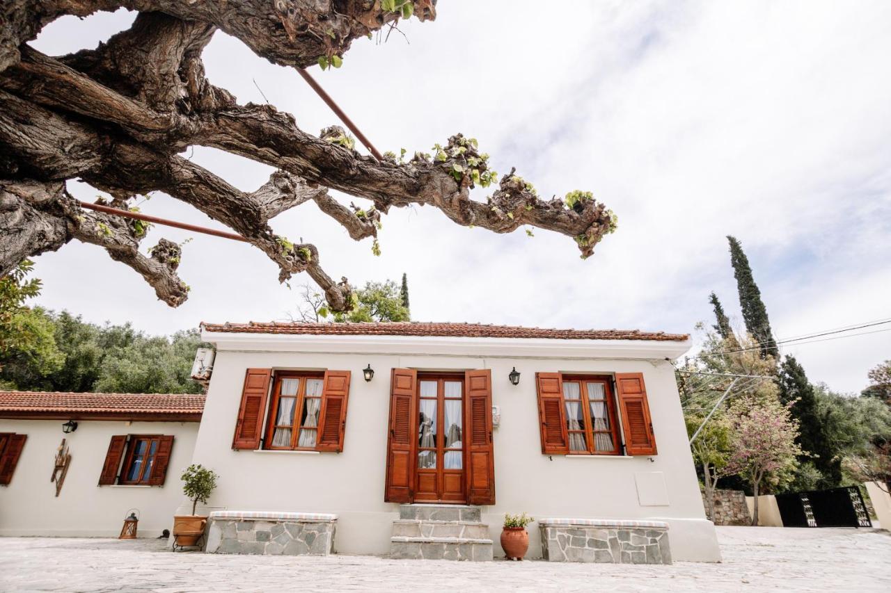 Prázdninový dům Kymanemi Zakynthos House